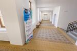 Fotografie z jazykového kurzu - Nizozemština pro mírně pokročilé , Nizozemština, Plzeň
